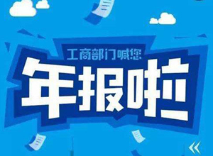 香港公司年审年报