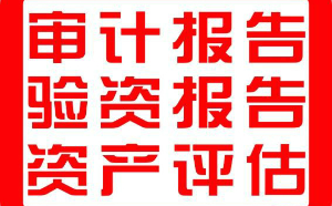 什么是审计报告 审计报告的作用