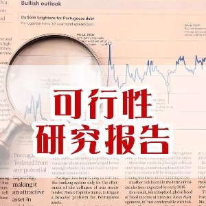 项目可行性研究报告的作用
