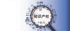 非洲知识产权组织介绍说明书