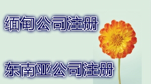 泉州注册缅甸公司的流程 缅甸公司做账报税