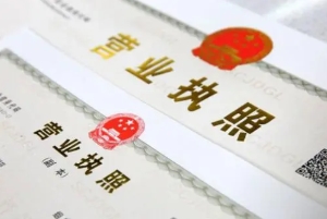 泉州外商独资公司注册说明 注册泉州外资公司