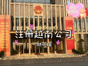 2024越南贸易公司怎么注册，以及境外投资备案（ODI）怎么办理？