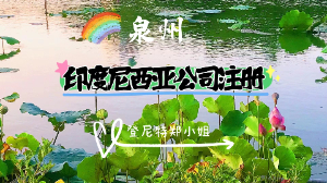东南亚投资：印尼公司注册详细全流程及税收