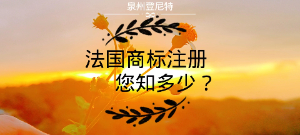 泉州注册法国商标 法国商标注册须知
