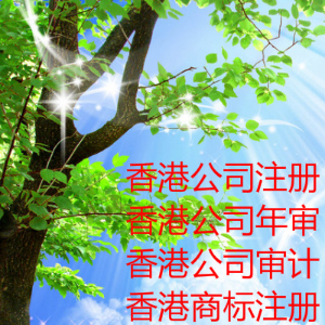 香港注册公司后还要做什么 香港年审年报