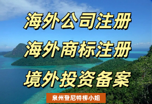 一文带您了解境外投资安全评估报告  企业出海境外投资安全评估报告编写流程