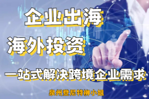 干货满满：2025匈牙利公司注册流程指南 海外投资商标注册 境外投资备案